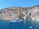 Motorsailor Angelo 3 Bodrum - Image 13