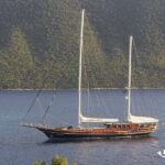 Gulet Cobra King Bodrum