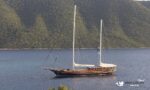 Gulet Cobra King Bodrum