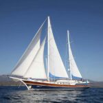 Gulet Ece Berrak Bodrum