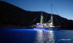 Gulet Golden Glory Bodrum - Image 6