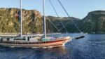 Gulet Tarkan 5 Bodrum - Image 74